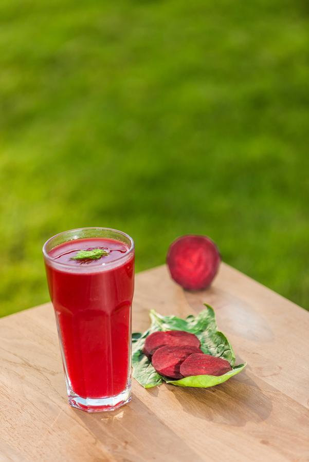 The Lifeco Antalya Well-Being Detox Center And Vegan Hotel Екстериор снимка