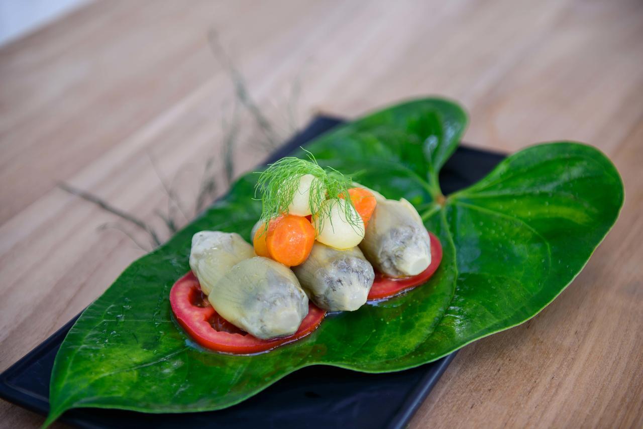 The Lifeco Antalya Well-Being Detox Center And Vegan Hotel Екстериор снимка